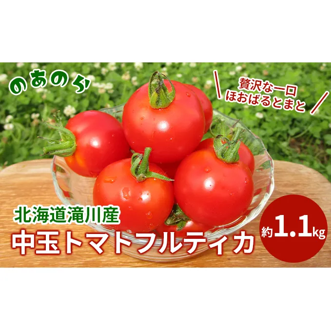 【栽培期間中 農薬不使用 】贅沢な一口ほおばるとまと( 北海道 滝川市 産中玉トマトフルティカ)約1.1kg トマト 野菜 やさい フルティカ 中玉トマト