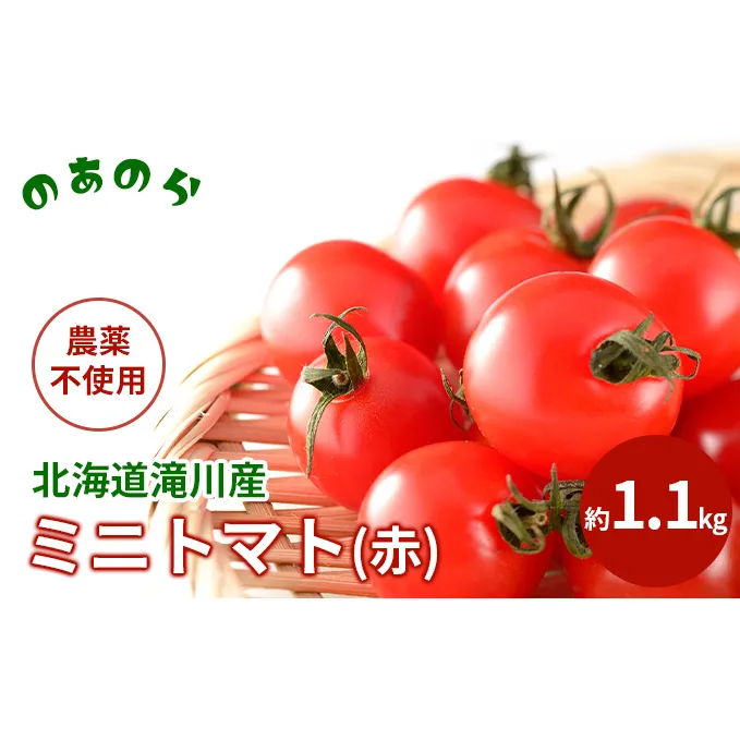 【栽培期間中 農薬不使用 】 北海道 滝川市 産 ミニトマト (赤) 約1.1kg トマト 野菜 やさい みにとまと