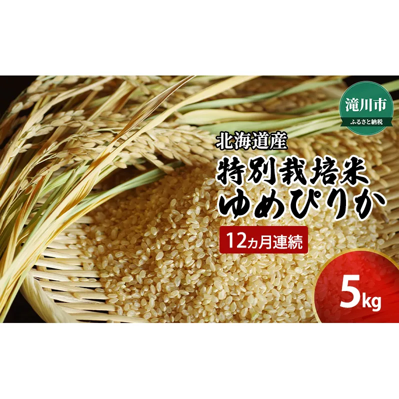 令和6年産米 北海道 滝川産 特別栽培玄米ゆめぴりか 5kg 12ヵ月連続｜北海道 滝川市 特別栽培 特別栽培米 お米 米 ご飯 玄米 ゆめぴりか ユメピリカ 定期便 連続お届け