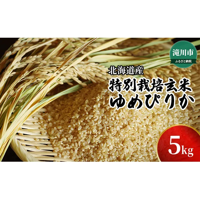 令和7年産米 北海道産特別栽培玄米ゆめぴりか 5kg ※10月中旬・新米からお届け｜北海道 滝川市 特別栽培 特別栽培米 お米 米 ご飯 玄米 ゆめぴりか ユメピリカ 新米