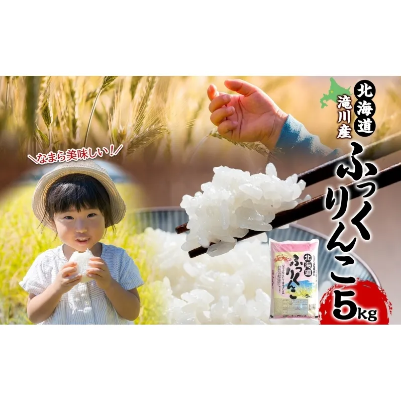 【 ふるさと納税 】7日発送 令和6年産 ふっくりんこ 5kg お米 米 白米 ごはん ご飯 ふっくら しっとり つややか 艶やか 新米【 滝川市 】