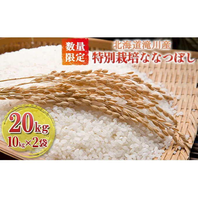 【入金確認後、最短7日発送】令和6年産米 北海道滝川産 特別栽培ななつぼし 20kg(10kg×2袋) ※10月中旬・新米からお届け｜北海道 滝川市 米 お米 白米 ご飯 ナナツボシ ななつぼし 新米