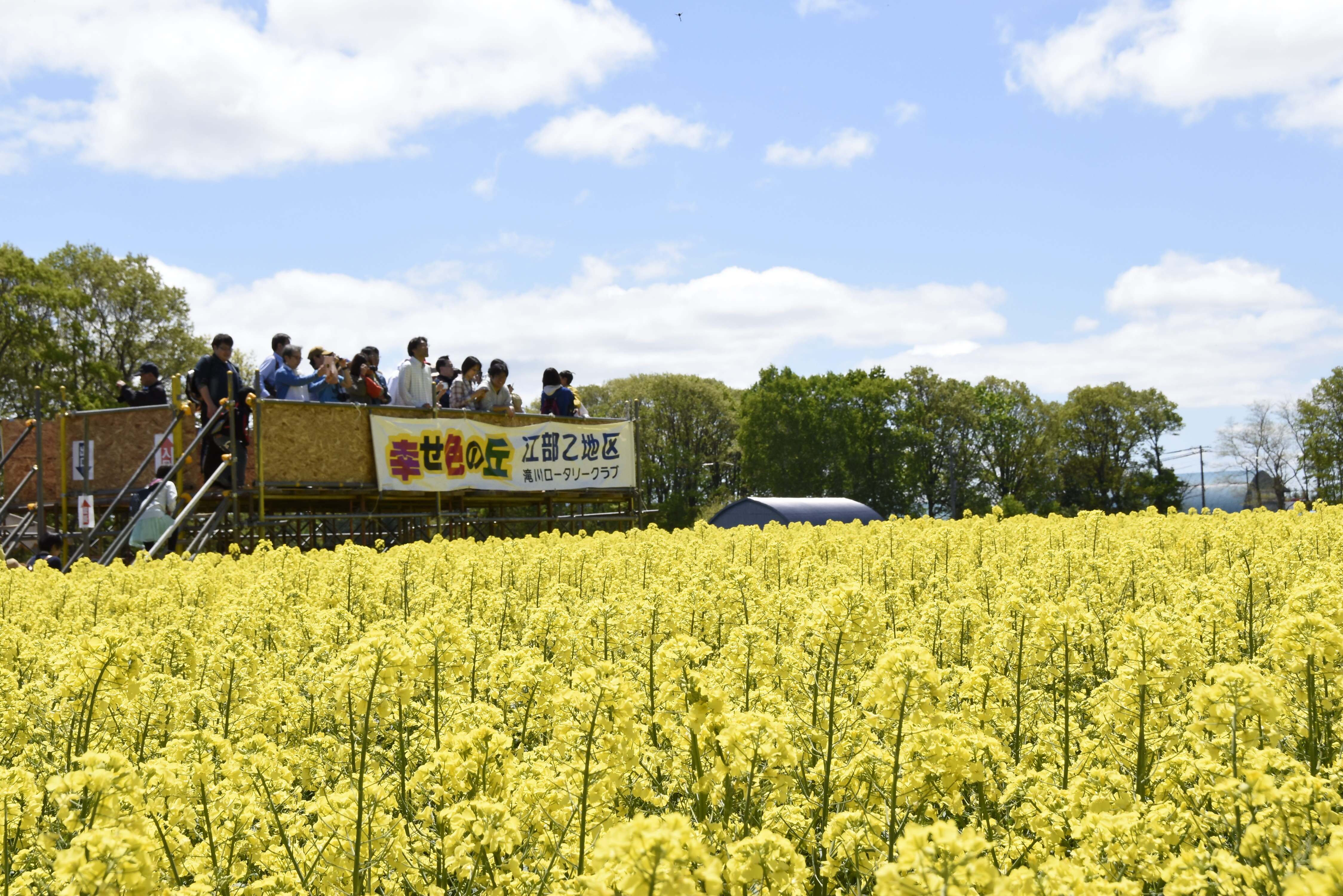 ３．豊かな資源を活かした魅力あふれるまちづくり