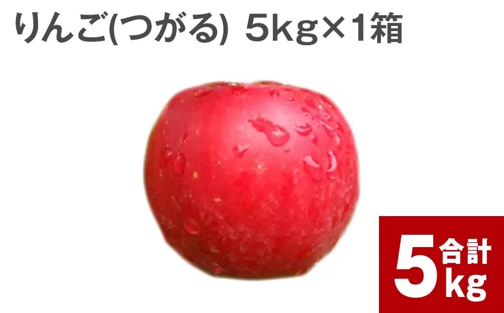 【令和6年産 先行受付】北海道深川市産 りんご（つがる） 5kg【2024年9月下旬より順次発送】林檎 リンゴ フルーツ デザート お取り寄せ