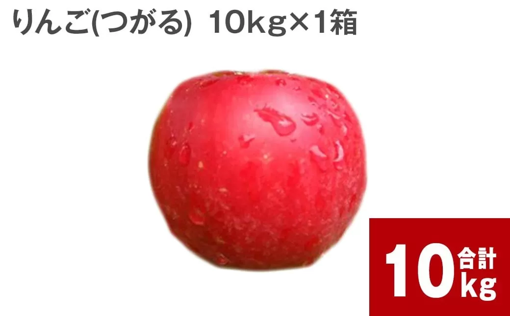 【令和6年産 先行受付】北海道深川市産 りんご（つがる） 10kg【2024年9月下旬より順次発送】林檎 リンゴ フルーツ デザート お取り寄せ