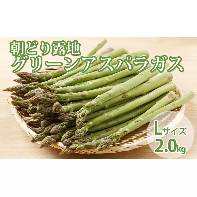 北海道 富良野市産 アスパラ 緑 (Lサイズ) 約2kg 朝どり 露地 グリーン アスパラガス 詰め合わせ 野菜 新鮮 数量限定 先着順【藏ファーム】