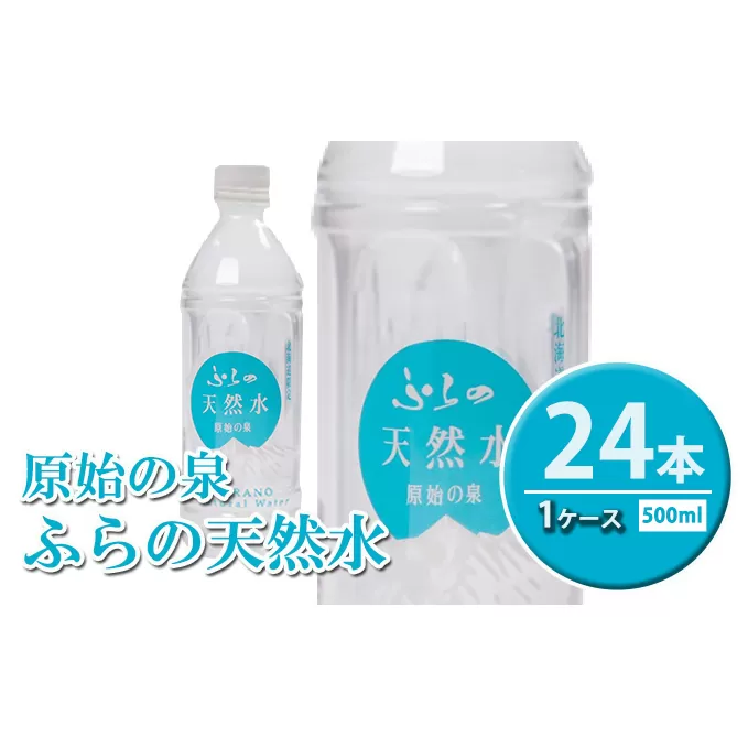 ふらの天然水【原始の泉】500ml×24本入 (水 新鮮 便利 天然 ペットボトル 北海道 送料無料 道産 富良野市 ふらの)