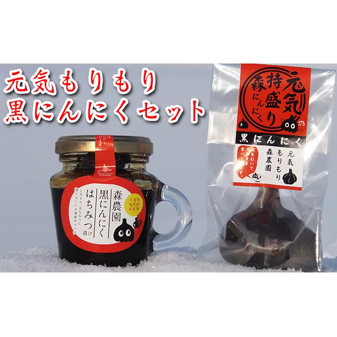 元気もりもり黒にんにくセット( 道産 健康 にんにく はちみつ 北海道 富良野市 富良野 ふらの)