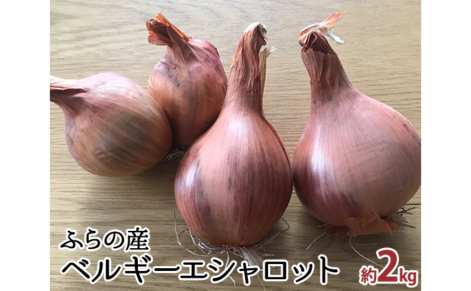 2024年11月～発送】希少！香味 野菜 ベルギーエシャロット ふらの産 約2kg 北海道 富良野市 (岡本ファームズ) 新鮮 玉ねぎ 直送 道産  ふらの 送料無料 数量限定 先着順 ｜富良野市｜北海道｜返礼品をさがす｜まいふる by AEON CARD