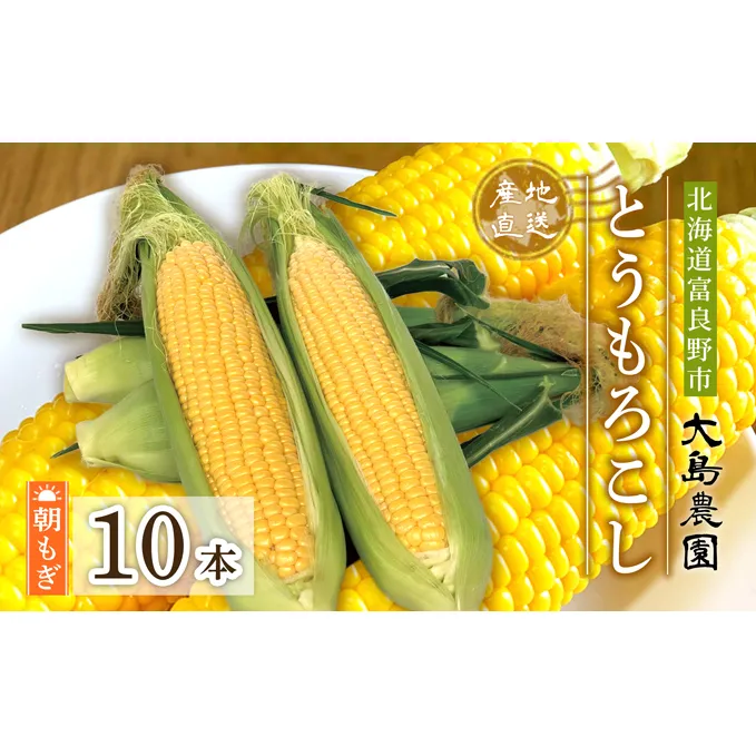 【2024年7月中旬～発送】朝もぎ とうもろこし 恵味 めぐみ 10本 L-2L 北海道 富良野市 (大島農園)