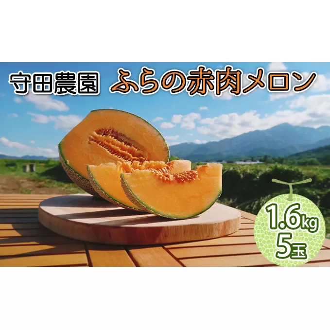 【2024年7月中旬～発送】北海道 ふらの 赤肉メロン 5玉入り 約1.6kg×5玉 (守田農園) メロン フルーツ 果物 新鮮 甘い 贈り物 ギフト 道産 ジューシー おやつ ふらの ブランド 夏 