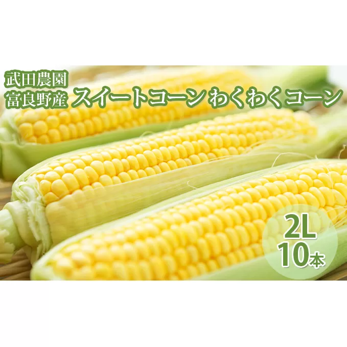 ［武田農園とれたて直送］スイートコーン わくわくコーン 2L 10本 みずみずしく抜群にあまい！北海道 富良野産 (とうもろこし 野菜 新鮮 とうきび 甘い 産地直送 先行予約 限定)