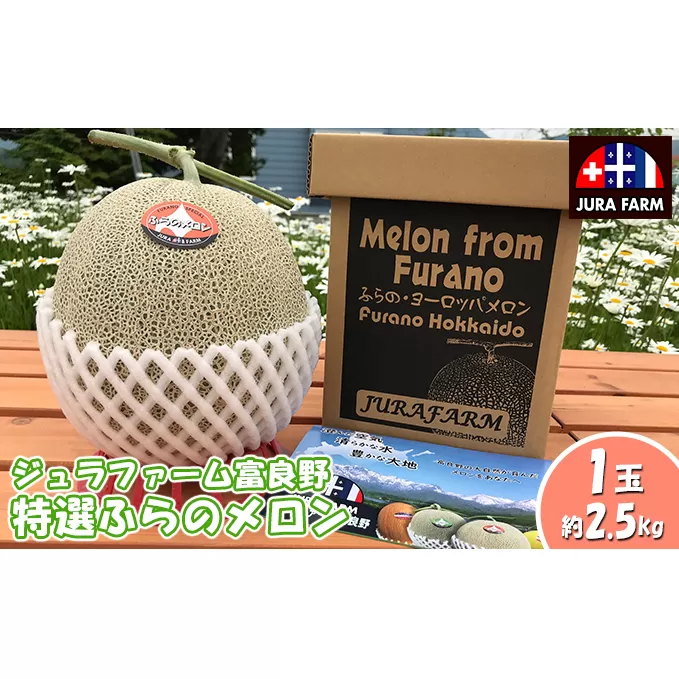 【2024年6月下旬～発送】特選 ふらの メロン 1玉 約2.5kg 北海道 富良野市 赤肉メロン (ジュラファーム富良野) メロン フルーツ 果物 新鮮 甘い 贈り物 ギフト 道産 ジューシー おやつ ふらの ブランド 夏 