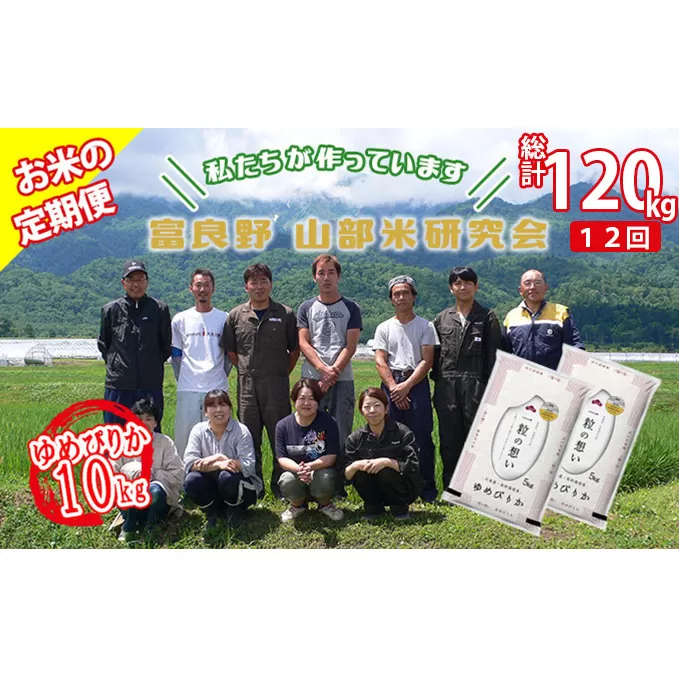 【令和5年度産】◆12ヵ月定期便◆ 富良野 山部米研究会【 ゆめぴりか 】精米 5kg×2袋（10kg）お米 米 ご飯 ごはん 白米 定期 送料無料 北海道 富良野市 道産 直送 ふらの