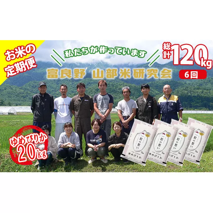 【令和5年度産】◆6ヵ月定期便◆ 富良野 山部米研究会【 ゆめぴりか 】精米 5kg×4袋（20kg）お米 米 ご飯 ごはん 白米 定期 送料無料 北海道 富良野市 道産 直送 ふらの