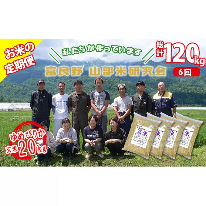 【令和5年度産】◆6ヵ月定期便◆ 富良野 山部米研究会【 ゆめぴりか 】玄米 5kg×4袋（20kg）お米 米 ご飯 ごはん 白米 定期 送料無料 北海道 富良野市 道産 直送 ふらの