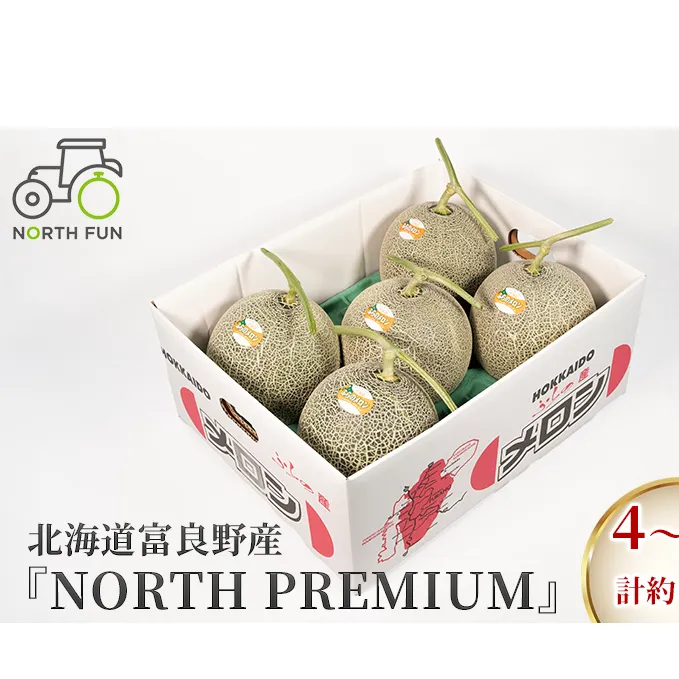 【2025年6月下旬～発送】富良野メロン『NORTH PREMIUM』 4～5玉 計約8kg 北海道 ふらの (NORTH FUN) メロン フルーツ 果物 新鮮 甘い 贈り物 ギフト 道産 ジューシー おやつ ふらの ブランド 夏