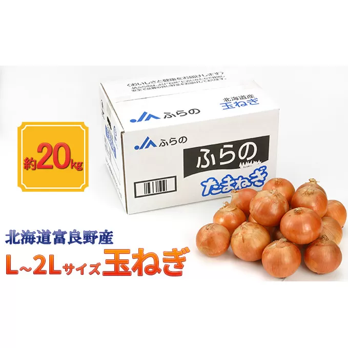 【北海道富良野産】L～2L サイズ 玉ねぎ 約20kg (JAふらの) たまねぎ 玉葱 タマネギ 野菜 新鮮 直送 道産 ふらの 送料無料 数量限定 先着順