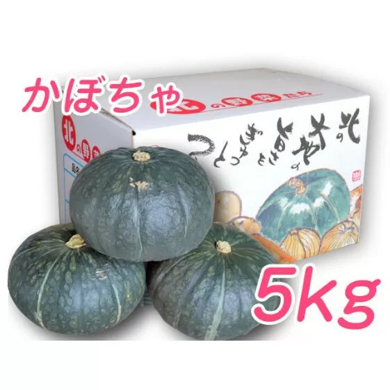 【2024年9月下旬より発送】北海道 富良野市産 かぼちゃ「ブラックのジョー」 5kg (中山農園) 野菜 新鮮 直送 いも 道産 ふらの 送料無料 数量限定 先着順 北海道 富良野市 ほくほく 秋