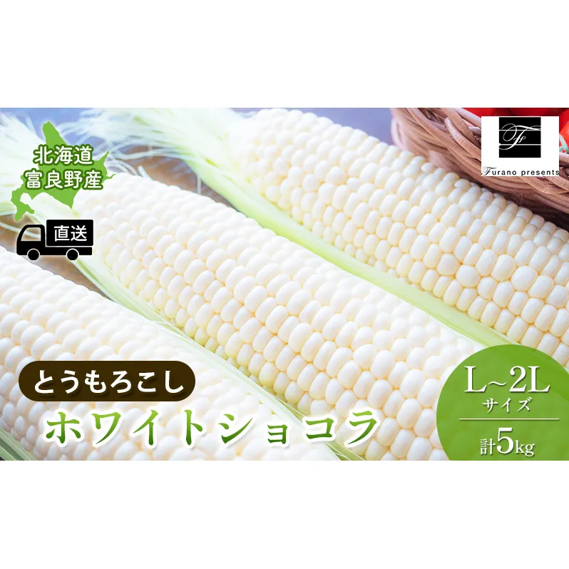 【2024年8月～発送】北海道 富良野市 とうもろこし ホワイトショコラ 白色 L～2L サイズ 計5kg ふらの 野菜 トウモロコシ とうきび 数量限定 (フラノプレゼンツ)