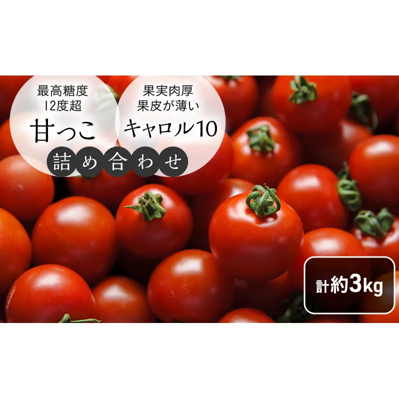 北海道 富良野市産 完熟ミニトマト 2種 計約3kg 甘っこ キャロル10 各1.5kg×2 詰め合わせ トマト 甘い 野菜 新鮮 数量限定 先着順【藏ファーム】