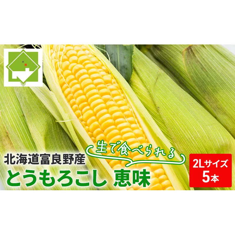 【2024年8月下旬～発送】北海道 富良野産 生で食べられる とうもろこし【恵味（めぐみ）】 2Lサイズ 5本 (スイートベジタブルファクトリー) とうもろこし とうきび コーン 野菜 新鮮 甘い ジューシー 贈り物 ギフト 道産 直送 ふらの