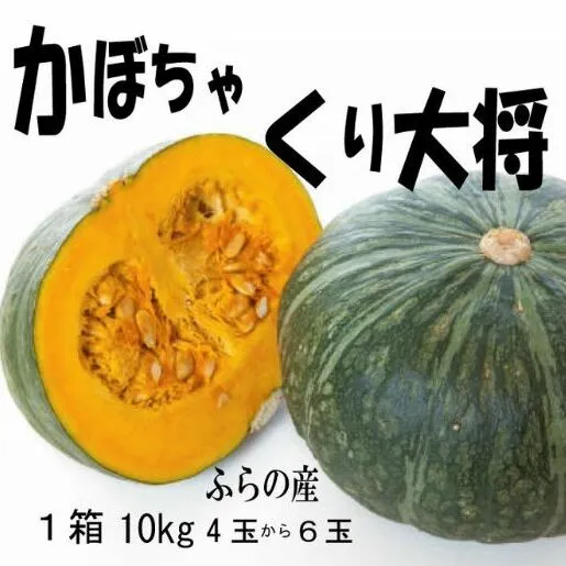 2025年秋発送【数量・期間限定】ふらの産 かぼちゃ10kg［くり大将］ 富良野 北海道 カボチャ 南瓜 甘い 野菜