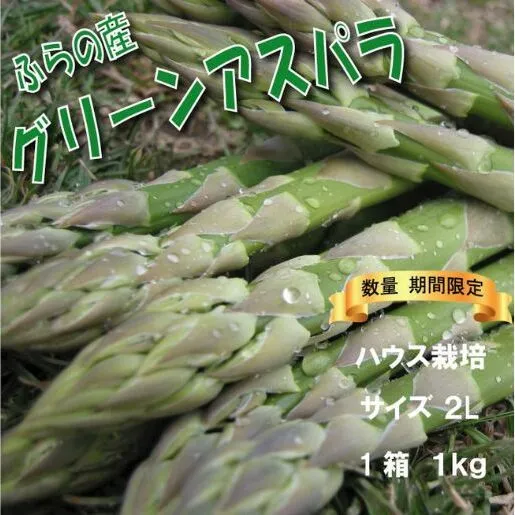 2025年春発送 ふらの産 グリーンアスパラ1kg［2Lサイズ］ハウス栽培 富良野 北海道 野菜 アスパラ 朝採り アスパラガス