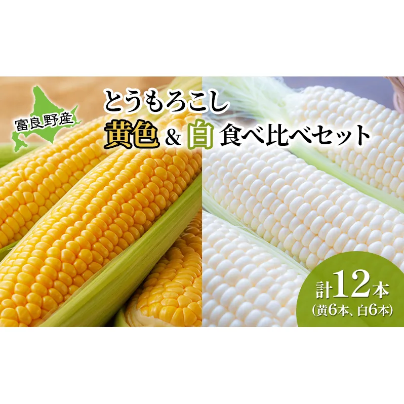 とうもろこし 食べ比べ 富良野産とうもろこし 黄6本・白6本セット 北海道 富良野 ふらの コーン とうきび トウモロコシ ホワイトコーン 野菜 甘い