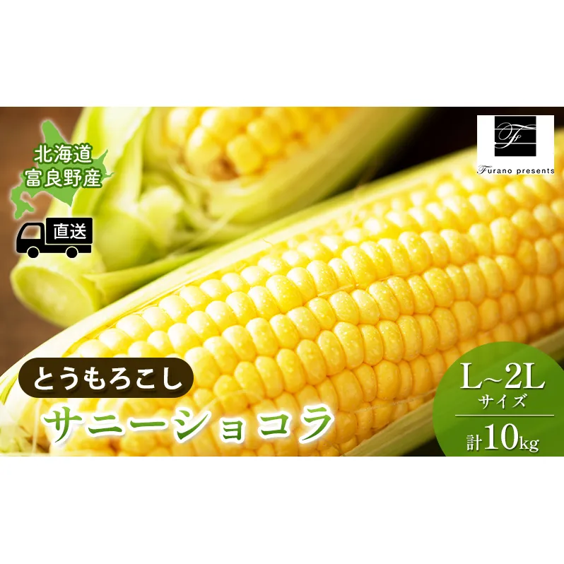 【2025年8月～発送】北海道 富良野市 とうもろこし サニーショコラ 黄色 L～2L サイズ 計10kg ふらの 野菜 トウモロコシ とうきび 数量限定 (フラノプレゼンツ)