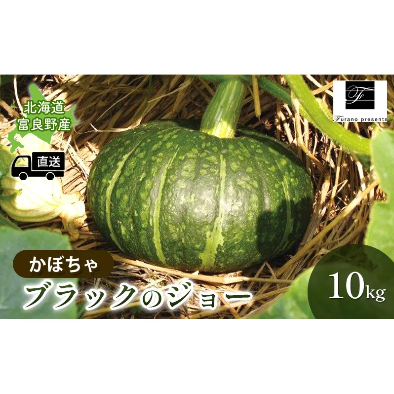 【2025年9月～発送】北海道 富良野市 かぼちゃ ブラックのジョー 10kg ふらの 野菜 カボチャ 数量限定 (フラノプレゼンツ)