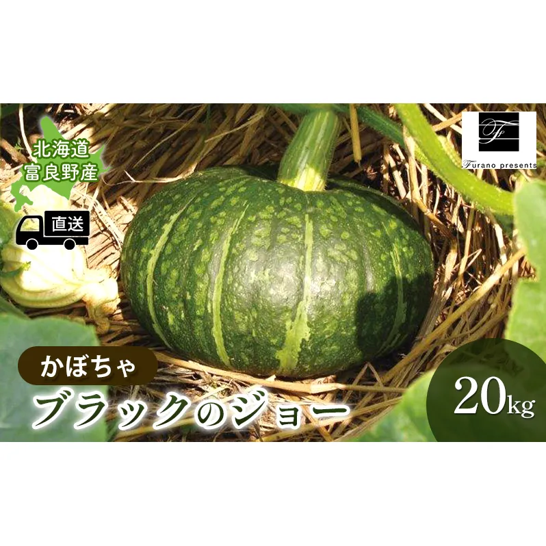 【2025年9月～発送】北海道 富良野市 かぼちゃ ブラックのジョー 20kg ふらの 野菜 カボチャ 数量限定 (フラノプレゼンツ)