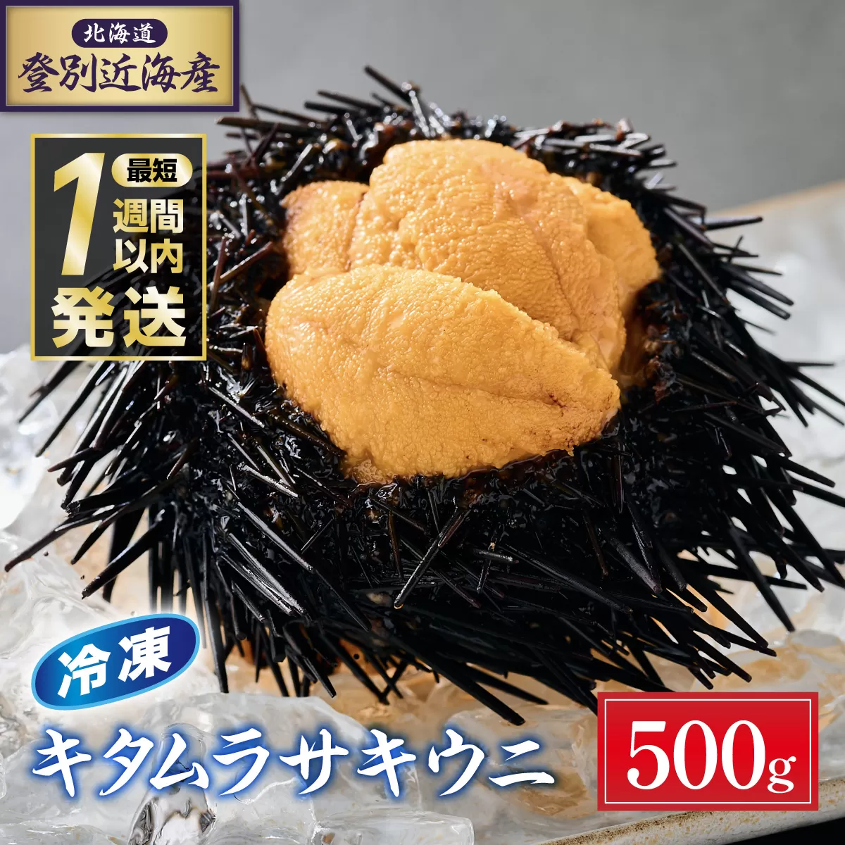 登別近海産冷凍キタムラサキウニ（パック詰）500g （100g×5パック）