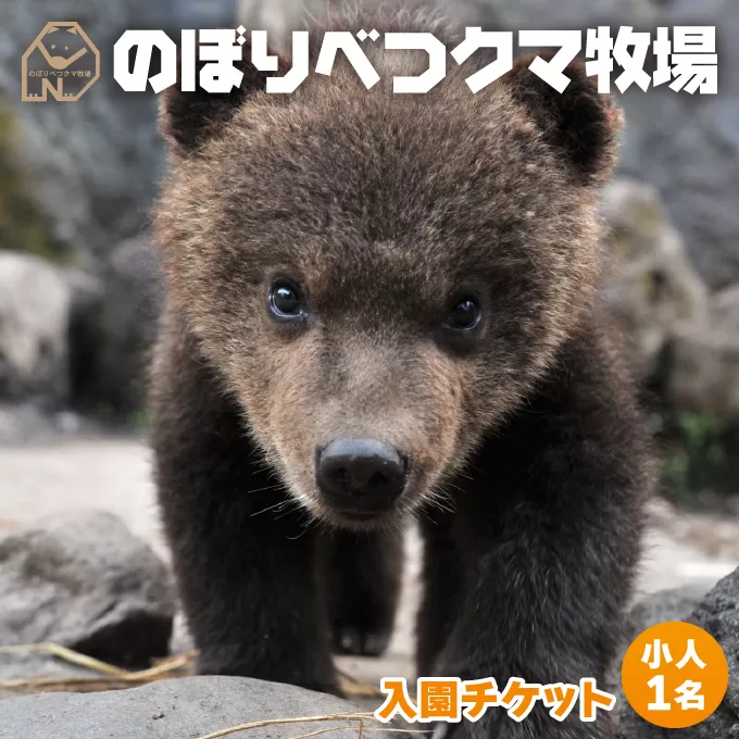 のぼりべつクマ牧場入場券 小人（小学生以下）1名様