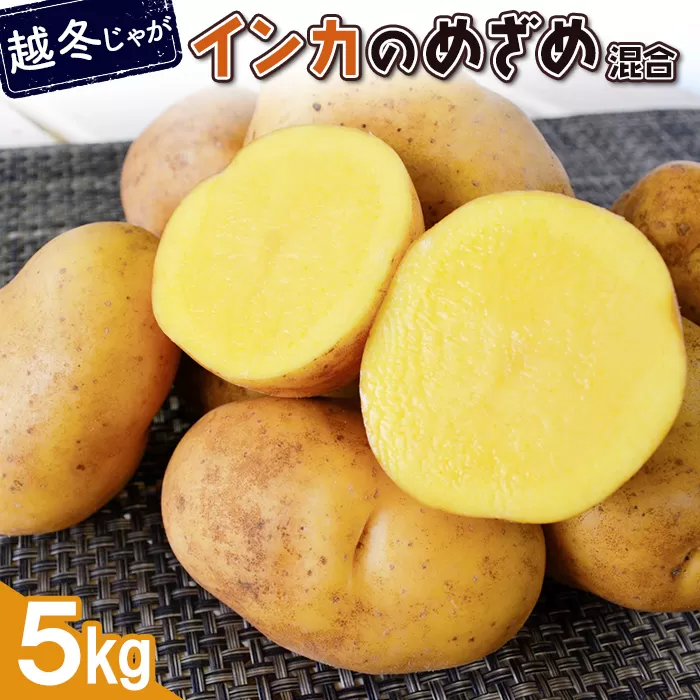 【越冬じゃが】インカのめざめ混合5ｋｇ【83001201】