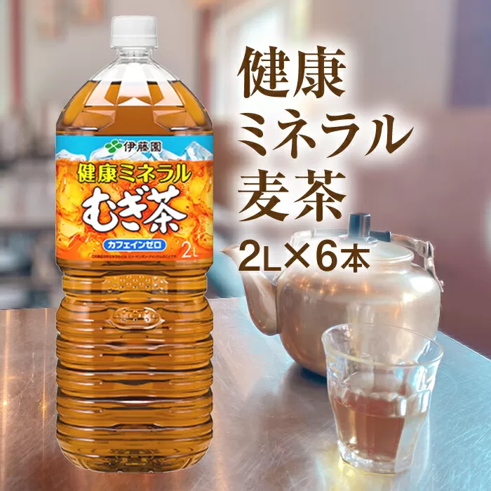 健康ミネラルむぎ茶2L×6本《北海道恵庭市》【500007】