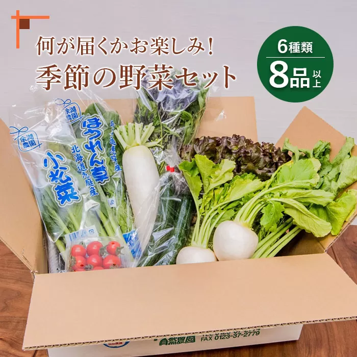 北海道産季節の野菜詰め合わせ 6種類8品《北海道恵庭市》【310005】