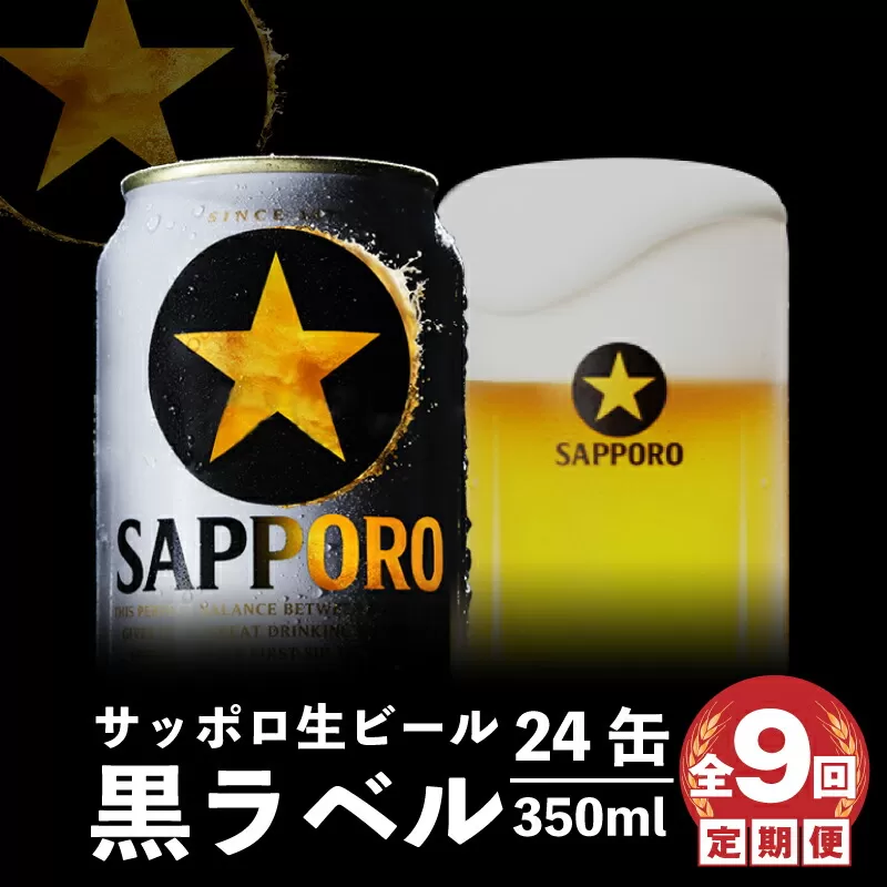 『定期便：全9回』黒ラベル350ml×24本《北海道恵庭市》【300077】