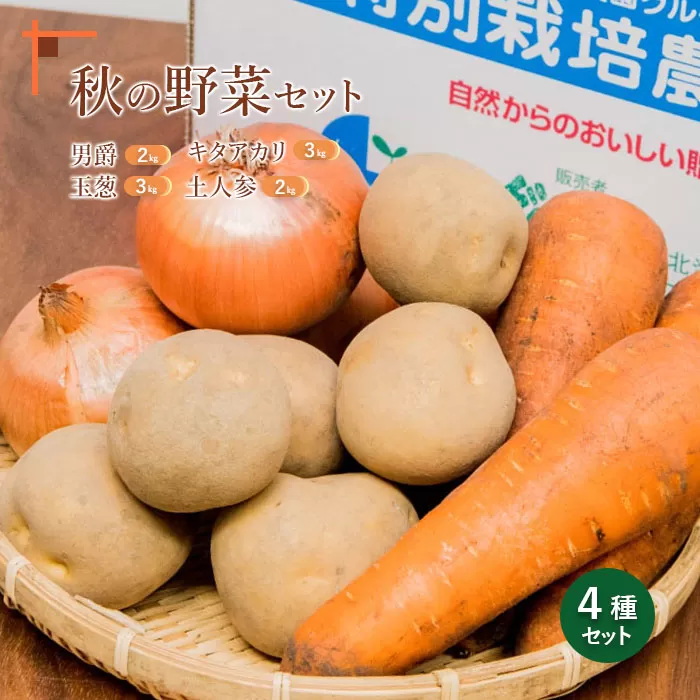 秋の野菜4品セット【31000601】