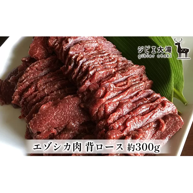 北海道大滝産 エゾシカ 背ロース肉 約300g