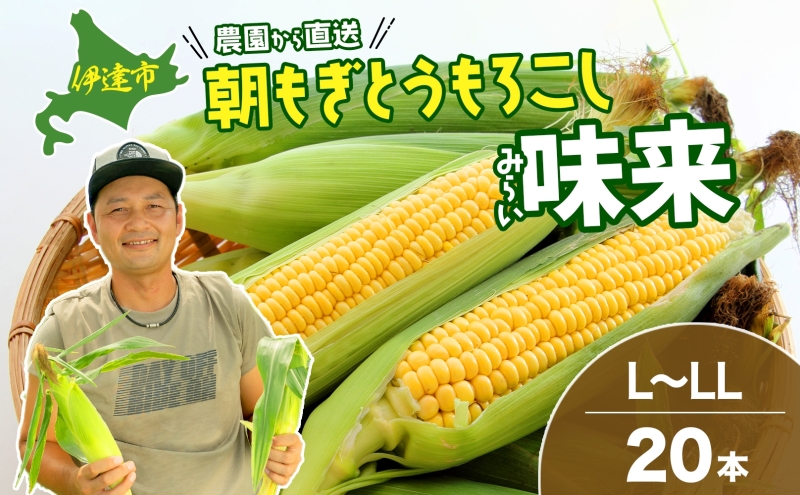 ふるさと納税】 先行予約 とうもろこし 甘々娘 4kg 12〜16本 かっこよし 極甘 糖度 17〜18度 スイートコーン コーン 野菜 やさい  サラダ スープ コーンスープ 生 BBQ 焼肉 アウトドア 旬 朝採り 期間限定 人気 お取り寄せ 特産物 おすすめ 産地直送 徳島県 吉野川市  2025 ...