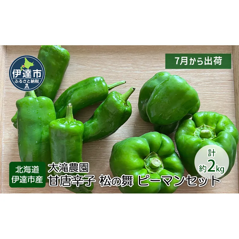 北海道 伊達 大滝農園 甘唐辛子「松の舞」 ピーマン セット 計約2kg 野菜