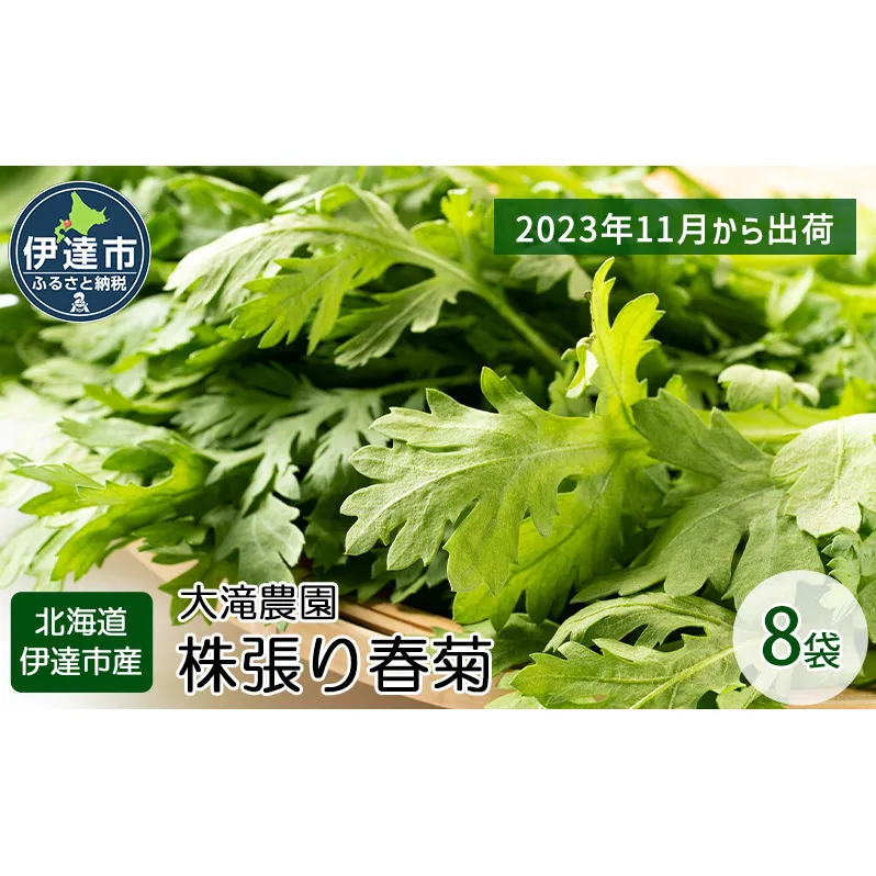 北海道 伊達 大滝農園 株張り春菊 8袋 野菜 サラダ