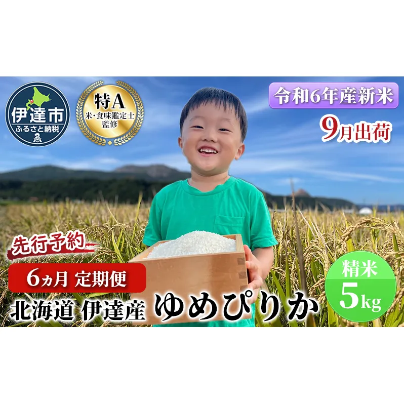 生産者 直送  6ヵ月 定期便【令和6年度】 北海道 伊達産 ゆめぴりか 5kg 精米