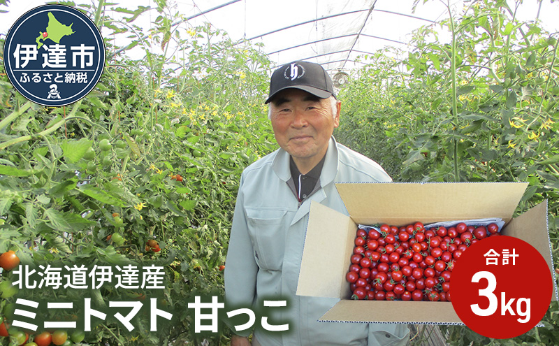 北海道伊達産 ミニトマト 甘っこ 3kg とまと 甘い 野菜 やさい 人気 新鮮 産地直送 農家直送  先行受付｜伊達市｜北海道｜返礼品をさがす｜まいふる by AEON CARD