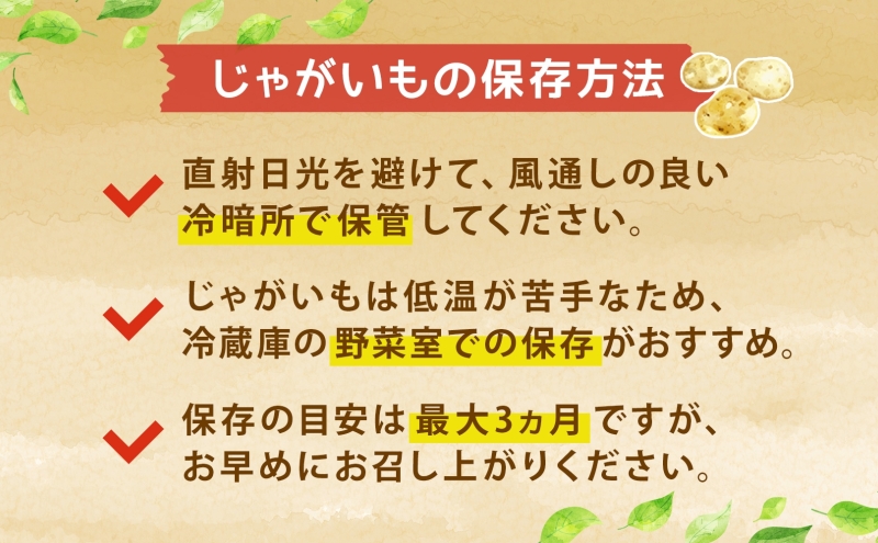 北海道産 じゃがいも 3種 約10kg とうや メークイン 北あかり ジャガイモ 馬鈴薯 ポテト 芋 イモ 旬 産地直送 野菜 農作物 甘い ホクホク  カレー コロッケ 人気 ふじいファーム｜伊達市｜北海道｜返礼品をさがす｜まいふる by AEON CARD