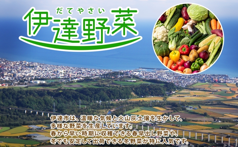 北海道産 じゃがいも 3種 約10kg とうや メークイン 北あかり ジャガイモ 馬鈴薯 ポテト 芋 イモ 旬 産地直送 野菜 農作物 甘い ホクホク  カレー コロッケ 人気 ふじいファーム｜伊達市｜北海道｜返礼品をさがす｜まいふる by AEON CARD