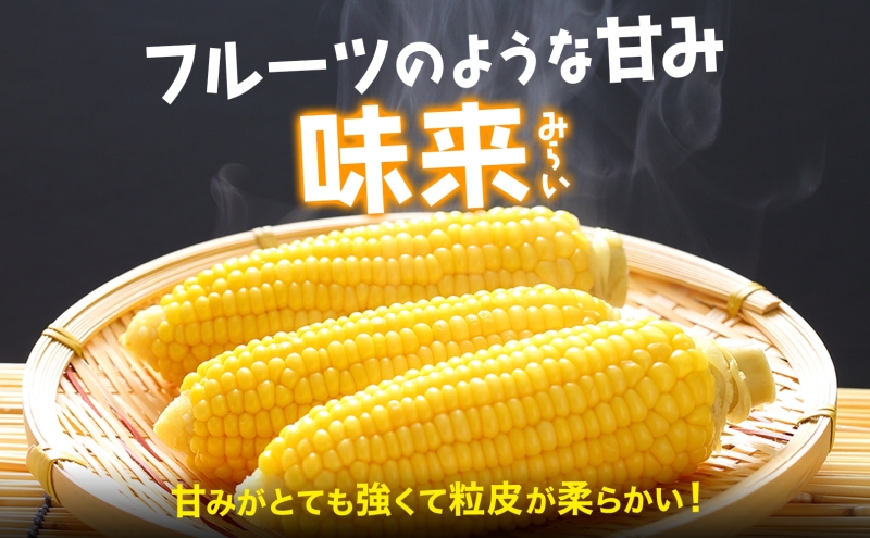 先行予約 【 2025年 発送 】北海道産 とうもろこし 味来 L～LLサイズ 20本入り トウモロコシ みらい ミライ とうきび スイート イエロー  コーン 旬 新鮮 朝もぎ 農作物 甘い お取り寄せ 産地直送 送料無料｜伊達市｜北海道｜返礼品をさがす｜まいふる by AEON CARD