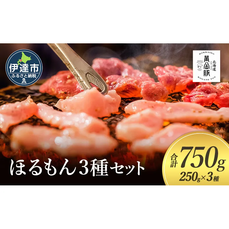 北海道 伊達 黄金豚 ほるもん 3種 セット 各250g×1パック（計750g） 焼肉 BBQ お花見 キャンプ お肉 豚肉 真空 ホルモン