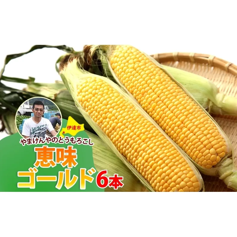 やまけんや とうもろこし 恵味ゴールド 6本 スイートコーン コーン 甘い サラダ スープ 生でも美味しい 産地直送 BBQ とうきび 国産 人気 バーベキュー 焼きとうもろこし 取り寄せ 糖度 北海道 伊達市